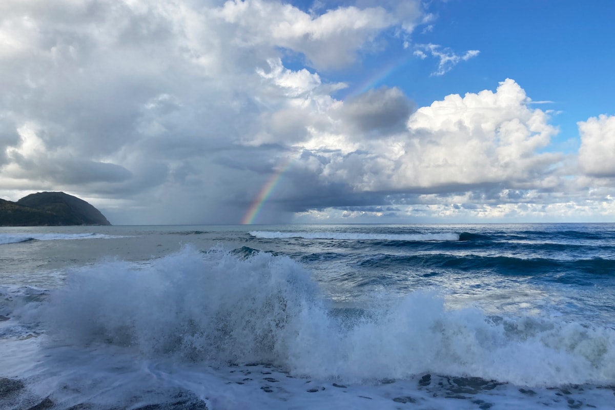 A whole week of northeasterly winds snapped the 1st surfboard